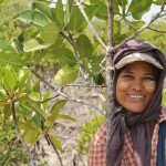 Worldview International Foundation - Thor Heyerdahl Climate Park In Myanmar