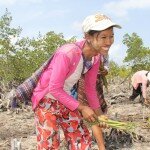 Mangrove Field Girl Planting Seeds IMG_0299