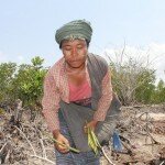 Mangrove Tree Field Woman Portrait IMG_0366