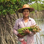 planting woman